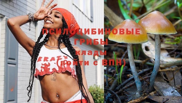spice Елабуга