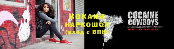 a pvp Ельня