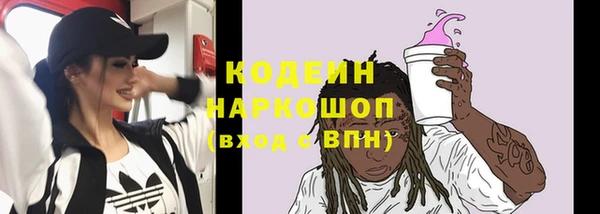 МДПВ Елизово