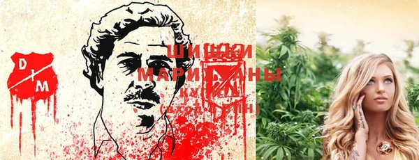 МДПВ Елизово