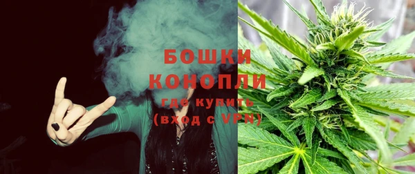 МДПВ Елизово