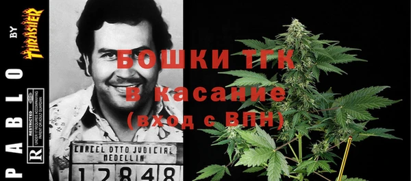 МДПВ Елизово