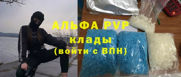 a pvp Ельня